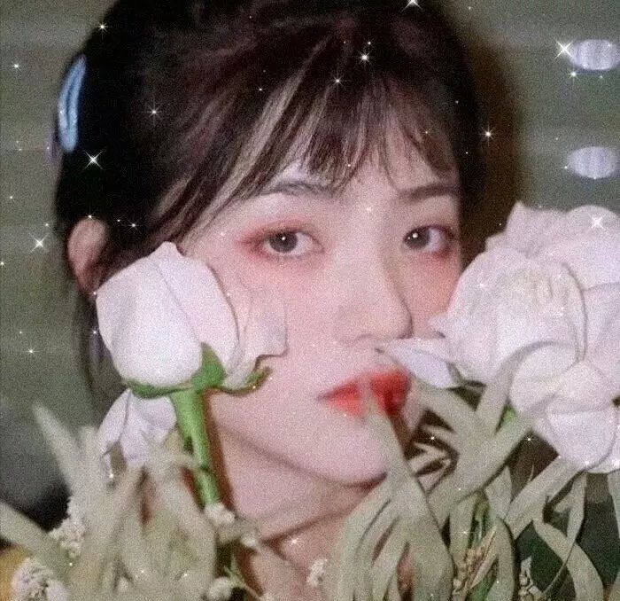 特殊嫌疑犯