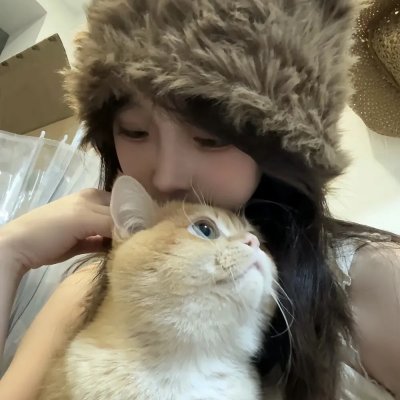大明星醒目狗